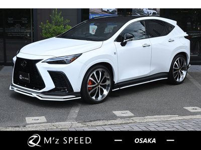 2026 Lexus NX photo 1