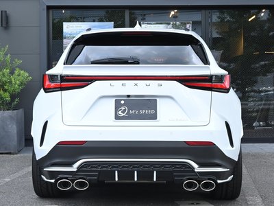 2026 Lexus NX photo 15