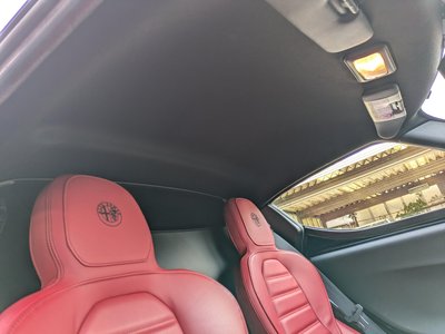 2015 ALFA Romeo 4C — фото 59