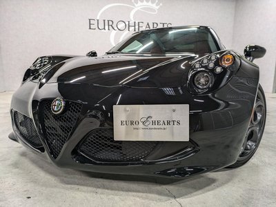 2015 ALFA Romeo 4C — фото 29