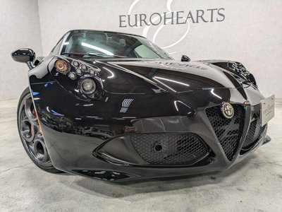 2015 ALFA Romeo 4C — фото 22