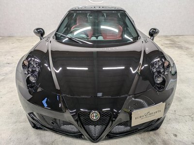 2015 ALFA Romeo 4C — фото 28