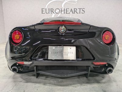 2015 ALFA Romeo 4C — фото 49