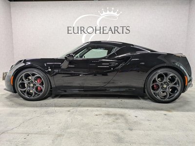2015 ALFA Romeo 4C — фото 41