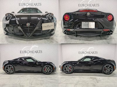 2015 ALFA Romeo 4C — фото 18