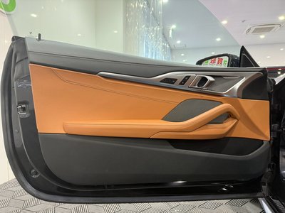 2020 BMW 8 SERIES thumbnail 38