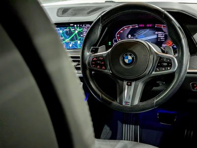 2019 BMW X7 thumbnail 23