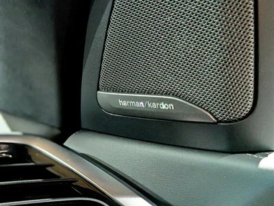 2019 BMW X7 thumbnail 44