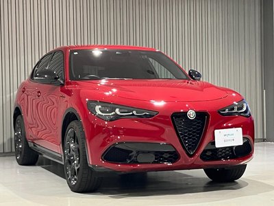 صورة 3 لـ 2025 ALFA Romeo STELVIO