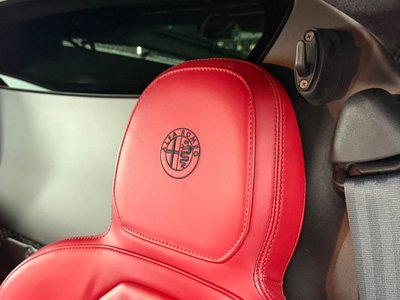2015 ALFA Romeo 4C — фото 23