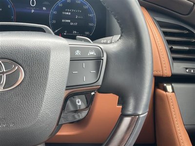2024 Toyota VELLFIRE 照片 14