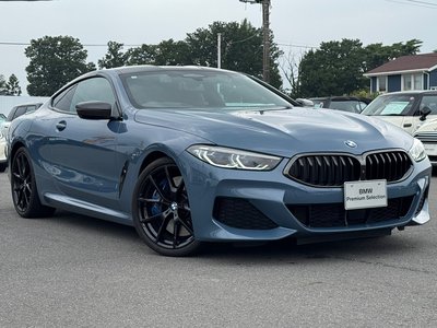 2021 BMW 8 SERIES thumbnail 65