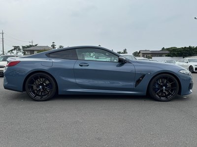2021 BMW 8 SERIES thumbnail 66
