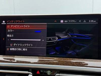 2025 BMW X4 thumbnail 33