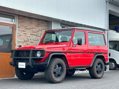 صورة 47 لـ 1987 Mercedes-BENZ G-CLASS