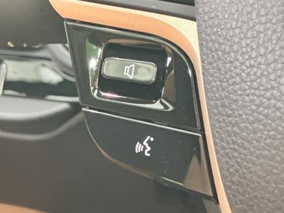 2024 Toyota CROWN SPORT 缩略图 31