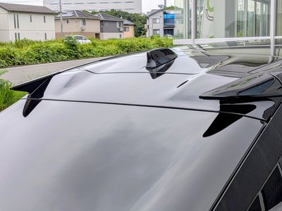 2024 Lexus RZ 缩略图 31
