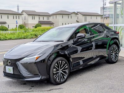 2024 Lexus RZ 缩略图 19