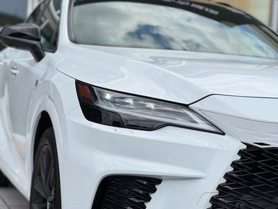 2025 Lexus RX 缩略图 21