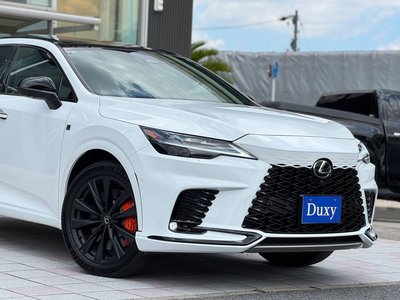 2025 Lexus RX 缩略图 17