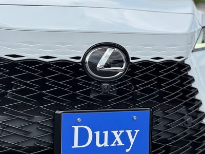 2025 Lexus RX 缩略图 19
