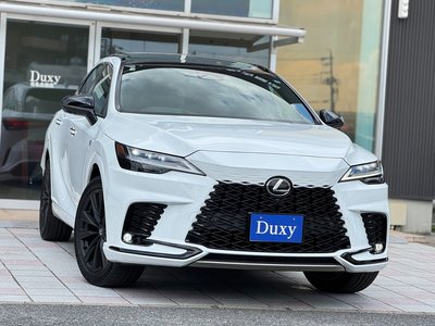 2025 Lexus RX 缩略图 6