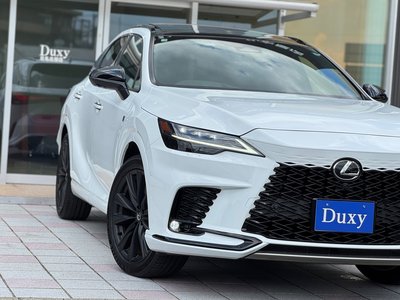 2025 Lexus RX 缩略图 20