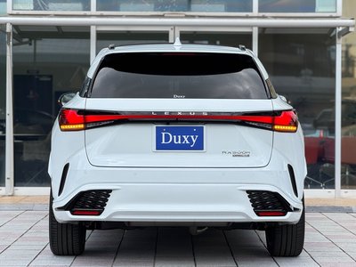 2025 Lexus RX 缩略图 35