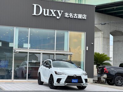 2025 Lexus RX 缩略图 13