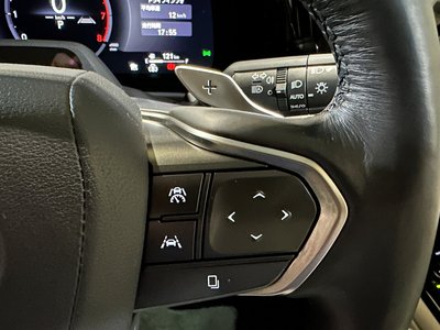 2024 Lexus LM 照片 15