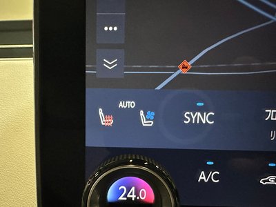 2024 Lexus LM 照片 56