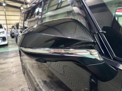 2024 Lexus LM 照片 30