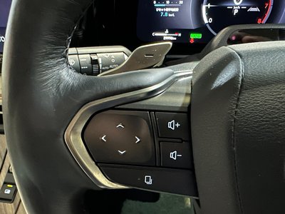 2024 Lexus LM 照片 14