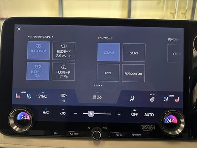 2024 Lexus LM 照片 58