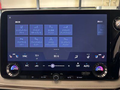 2024 Lexus LM 照片 59