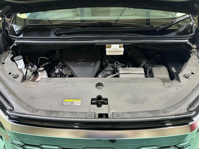 2024 Lexus LM 照片 77