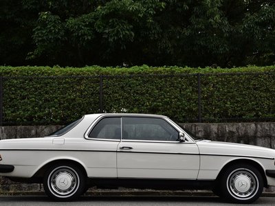 1982 Mercedes-BENZ MEDIUM-CLASS photo 13