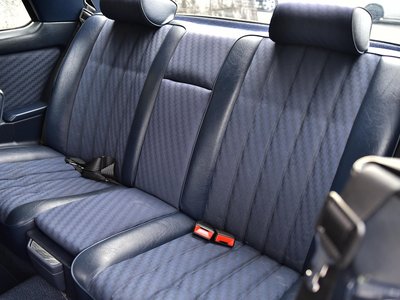 1982 Mercedes-BENZ MEDIUM-CLASS photo 28
