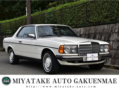 1982 Mercedes-BENZ MEDIUM-CLASS photo 1