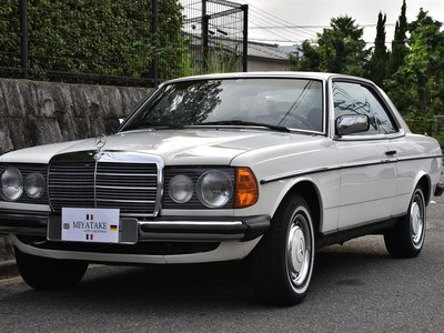 1982 Mercedes-BENZ MEDIUM-CLASS photo 25