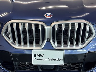 2023 BMW X6 — миниатюра 18