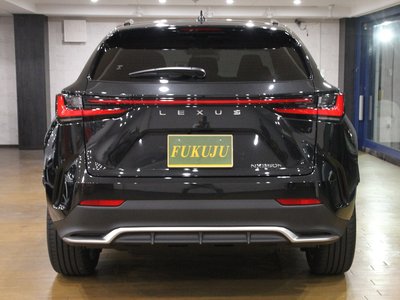 2023 Lexus NX 缩略图 13
