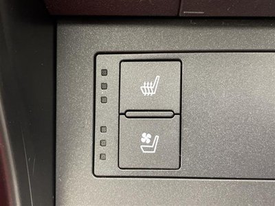 2021 Lexus IS photo 16