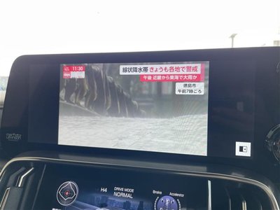 2022 Lexus LX thumbnail 21