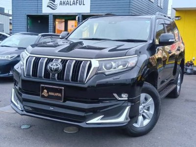 2023 Toyota LAND CRUISER PRADO 照片 1