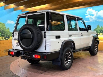 2025 Toyota LAND CRUISER 70 thumbnail 17