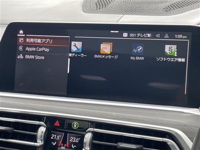 2021 BMW X7 照片 14