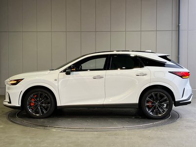 2025 Lexus RX — фото 30