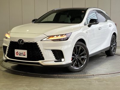 2025 Lexus RX — фото 25