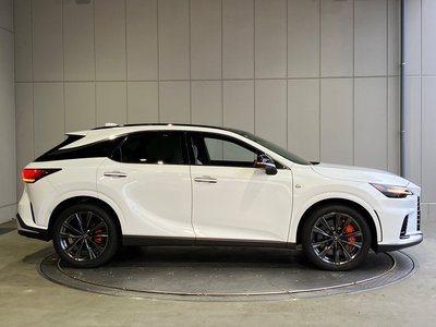 2025 Lexus RX — фото 29
